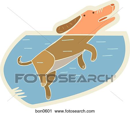 A dog treading water View Large Illustration Clip Art - A dog treading water. Fotosearch