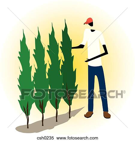 Stock Illustration - A man looking at hedging trees. Fotosearch