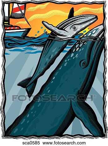 A mother and baby humpback whale beside a sailboat View Large Illustration Stock Illustration - A mother and baby humpback whale beside a sailboat. Fotosearch