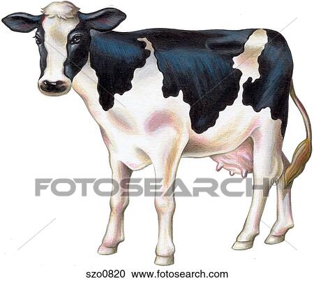 A painting of a cow View Large Illustration Clipart - A painting of a cow. Fotosearch