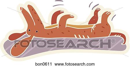 A smiling Dachshund lying on its back View Large Illustration Clip Art - A smiling Dachshund lying on its back. Fotosearch