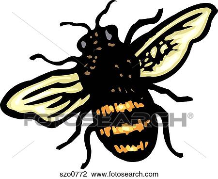 Drawing - An illustration of a bee. Fotosearch