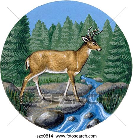 Stock Illustration - An illustration of a deer at a stream of water. Fotosearch
