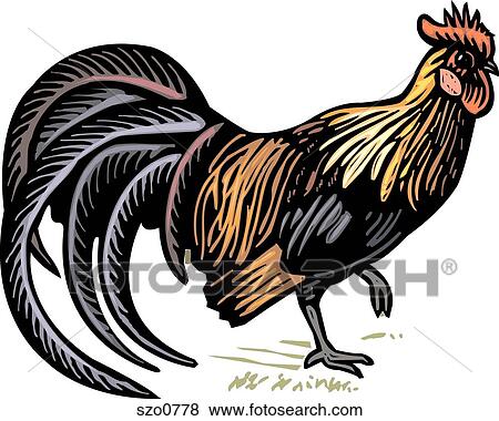 An illustration of a rooster View Large Illustration Stock Illustration - An illustration of a rooster. Fotosearch