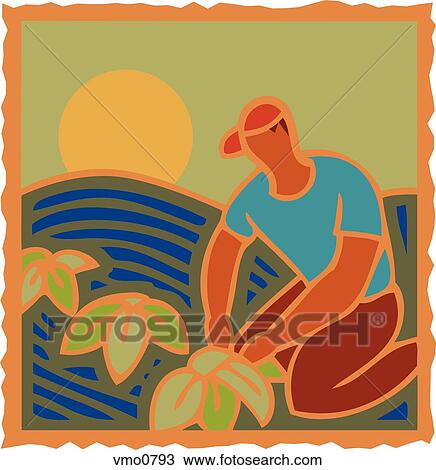 Illustration of a man gardening View Large Illustration Drawing - Illustration of a man gardening. Fotosearch