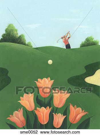 Tulips on a golf course View Large Illustration Drawing - Tulips on a golf course. Fotosearch