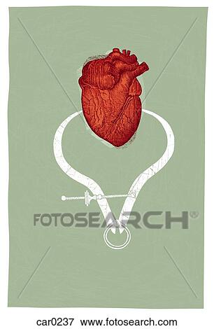 A heart being measured by callipers, on a green background View Large Illustration Stock Illustration - A heart being measured by callipers, on a green background. Fotosearch