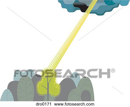 A ray of sun shining on one tree in the forest View Large Illustration Clip Art - A ray of sun shining on one tree in the forest. Fotosearch