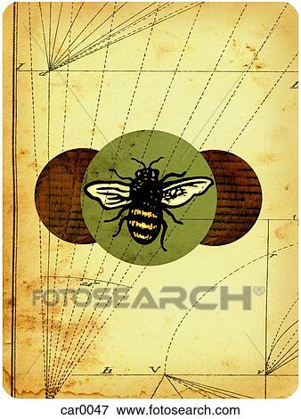 Stock Illustration - Bee on a distressed background with geometrical lines. Fotosearch