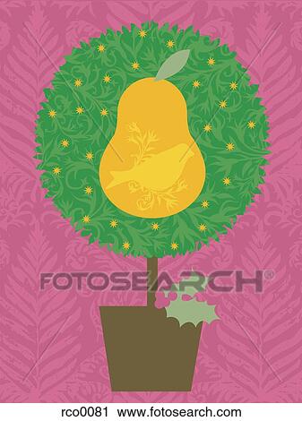 A partridge in a pear tree View Large Illustration Clip Art - A partridge in a pear tree. Fotosearch