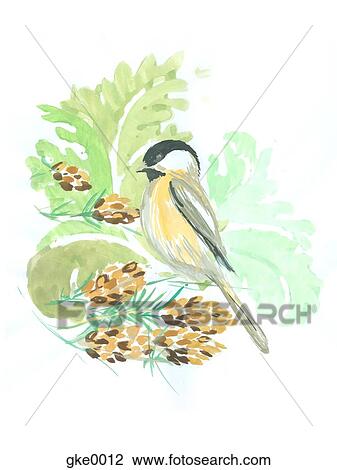 Drawing - A winter chickadee bird with pine cones and leaves. Fotosearch