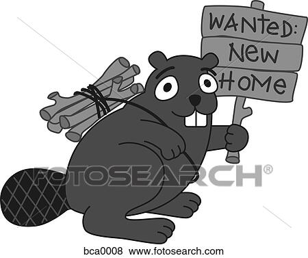 A beaver looking for a new home View Large Illustration Stock Illustration - A beaver looking for a new home. Fotosearch