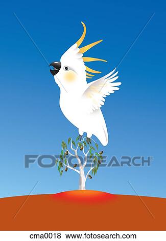 A cockatoo bird in a tree View Large Illustration Stock Illustration - A cockatoo bird in a tree. Fotosearch