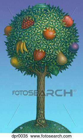 Stock Illustration - A fruit tree. Fotosearch