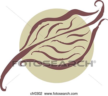 A leaf View Large Illustration Drawing - A leaf. Fotosearch