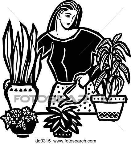 Stock Illustration - A woman watering her plants. Fotosearch