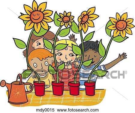 Children with their sunflower plants View Large Illustration Stock Illustration - Children with their sunflower plants. Fotosearch