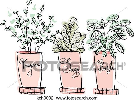 Drawing - Potted thyme, sage and basil herbs. Fotosearch