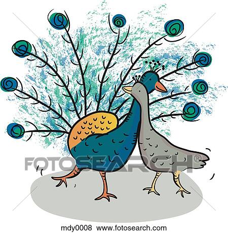 Two peacocks rubbing necks View Large Illustration Stock Illustration - Two peacocks rubbing necks. Fotosearch