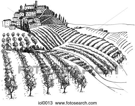 Drawing - A black and white ink drawing of a vineyard. Fotosearch