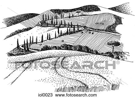 A black and white ink drawing of fields in the countryside View Large Illustration Drawing - A black and white ink drawing of fields in the countryside. Fotosearch