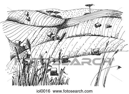 Stock Illustration - A black and white ink drawing of hay fields in the countryside. Fotosearch