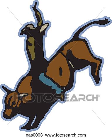Drawing - A cowboy on a bull. Fotosearch