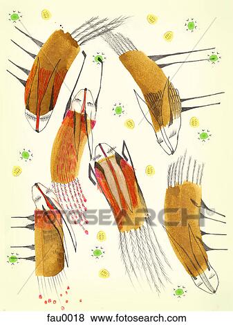Stock Illustration - A hand drawn illustration of group of foxes. Fotosearch