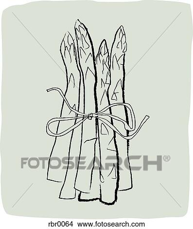 A Textured 線画 の アスパラガス イラスト Rbr0064 Fotosearch