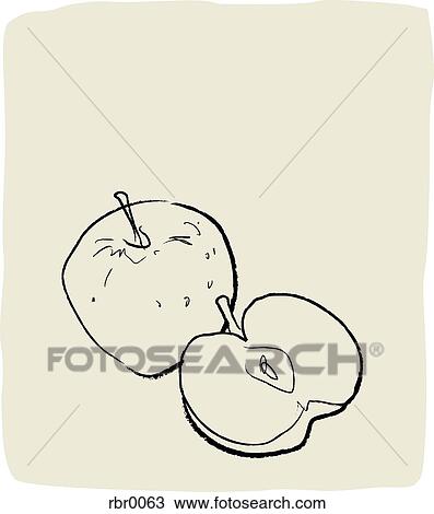 A textured line drawing of apples View Large Illustration Drawing - A textured line drawing of apples. Fotosearch