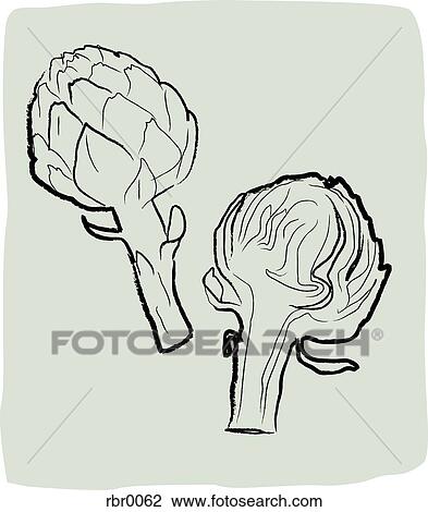 A textured line drawing of artichokes View Large Illustration Drawing - A textured line drawing of artichokes. Fotosearch