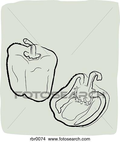 Stock Illustration - A textured line drawing of bell peppers. Fotosearch