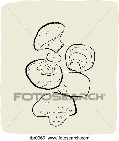 Clipart - A textured line drawing of mushrooms. Fotosearch