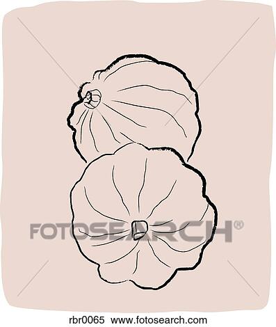 A textured line drawing of squash View Large Illustration Stock Illustration - A textured line drawing of squash. Fotosearch