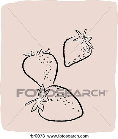 Drawing - A textured line drawing of strawberries. Fotosearch