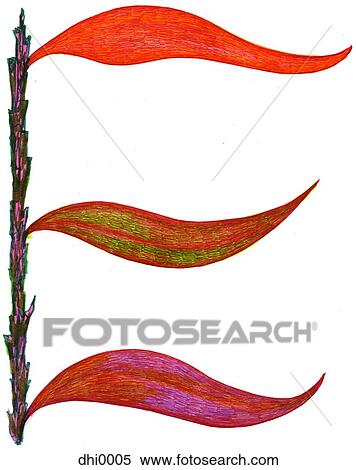 The letter E resembling a plant with leaves View Large Illustration Stock Illustration - The letter E resembling a plant with leaves. Fotosearch