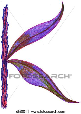 The letter K resembling a plant with purple leaves View Large Illustration Clip Art - The letter K resembling a plant with purple leaves. Fotosearch