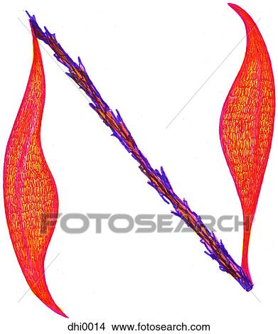 The letter N resembling a plant with leaves View Large Illustration Stock Illustration - The letter N resembling a plant with leaves. Fotosearch