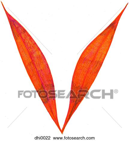 The letter V resembling leaves View Large Illustration Drawing - The letter V resembling leaves. Fotosearch
