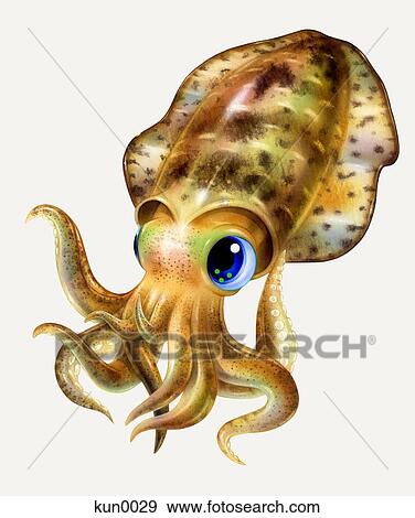 A Bigfish squid View Large Illustration Stock Illustration - A Bigfish squid. Fotosearch