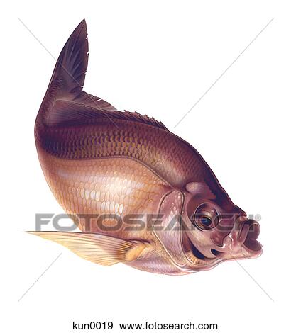 A Bleeker View Large Illustration Stock Illustration - A Bleeker. Fotosearch