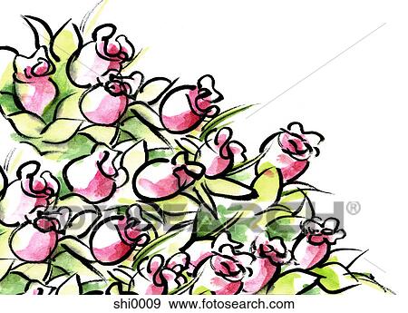 A bouquet of pink roses View Large Illustration Stock Illustration - A bouquet of pink roses. Fotosearch