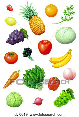 A canvas of fruit and vegetables View Large Illustration Stock Illustration - A canvas of fruit and vegetables. Fotosearch