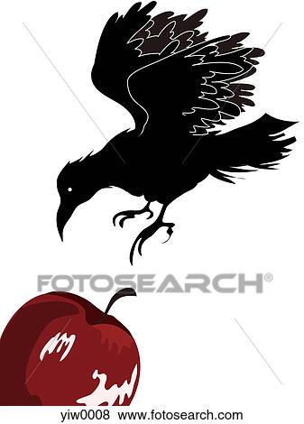 A crow swooping on an apple View Large Illustration Stock Illustration - A crow swooping on an apple. Fotosearch
