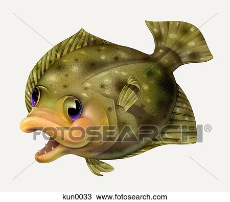 A Flounder View Large Illustration Drawing - A Flounder. Fotosearch