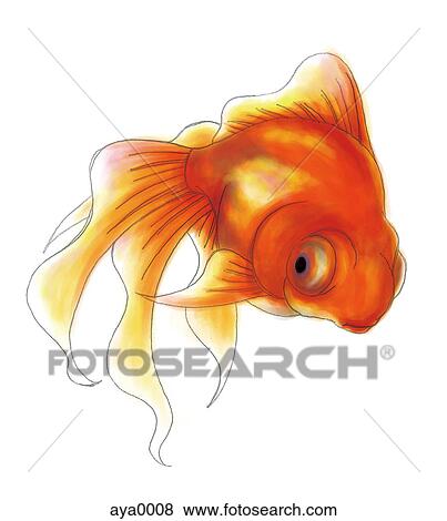 A goldfish View Large Illustration Stock Illustration - A goldfish. Fotosearch
