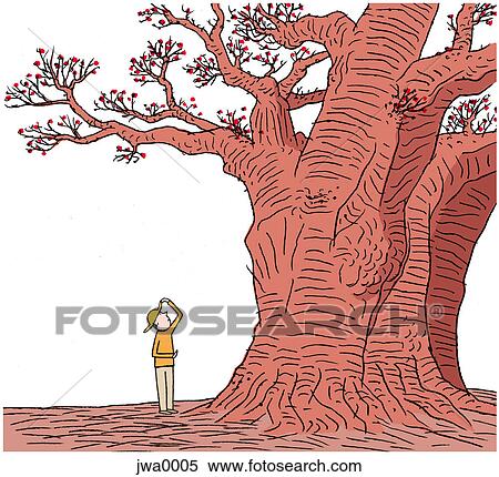 A man looking into the branches of a large tree View Large Illustration Stock Illustration - A man looking into the branches of a large tree. Fotosearch