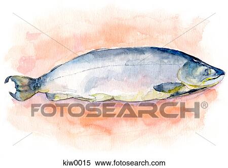 A painting of a fish View Large Illustration Stock Illustration - A painting of a fish. Fotosearch