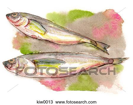 A painting of two fish View Large Illustration Drawing - A painting of two fish. Fotosearch