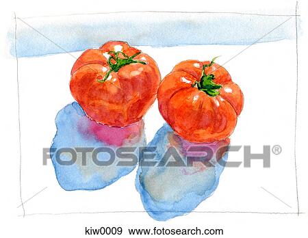 A painting of two heirloom tomatoes View Large Illustration Stock Illustration - A painting of two heirloom tomatoes. Fotosearch